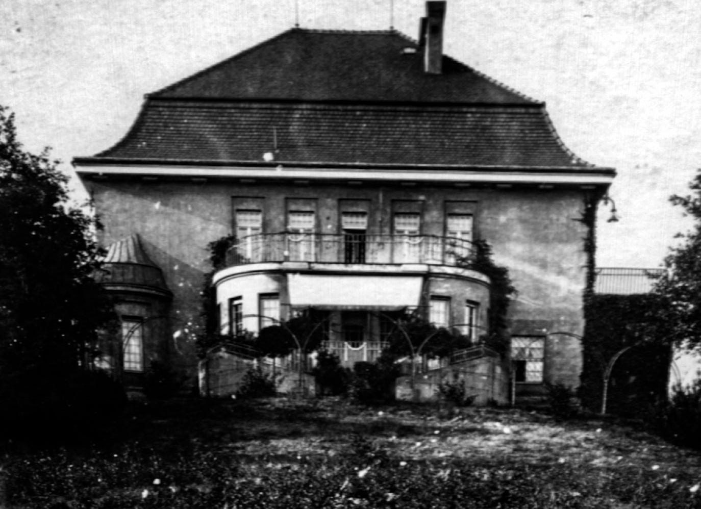 Hirschfelde von hinten